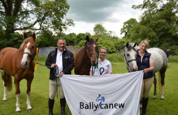 Ballycanew Riding Centre